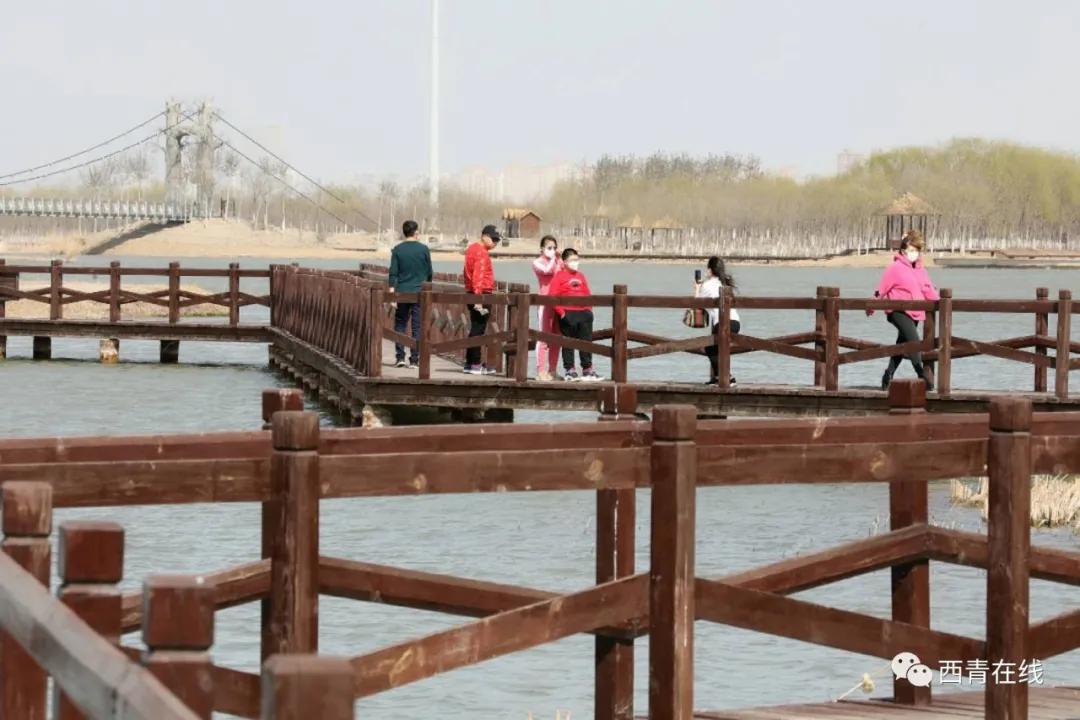 天津将新添一座公园预计开放时间,天津即将开放的公园在哪里