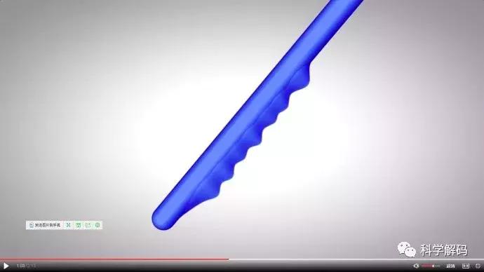 蚊子怎么咬人科普,蚊子解剖示意图