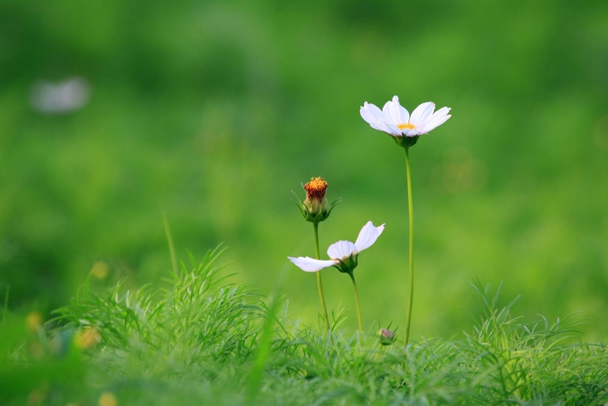 当别人诋毁自己,当别人诋毁你应该怎么办