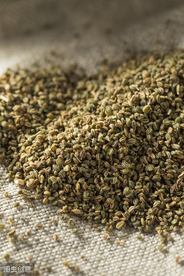 芹菜精油,日本芹菜籽亚麻籽油