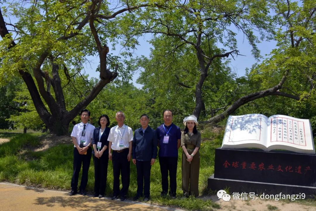 夏津东方紫桑文化博物馆暨酒庄项目举行奠基仪式