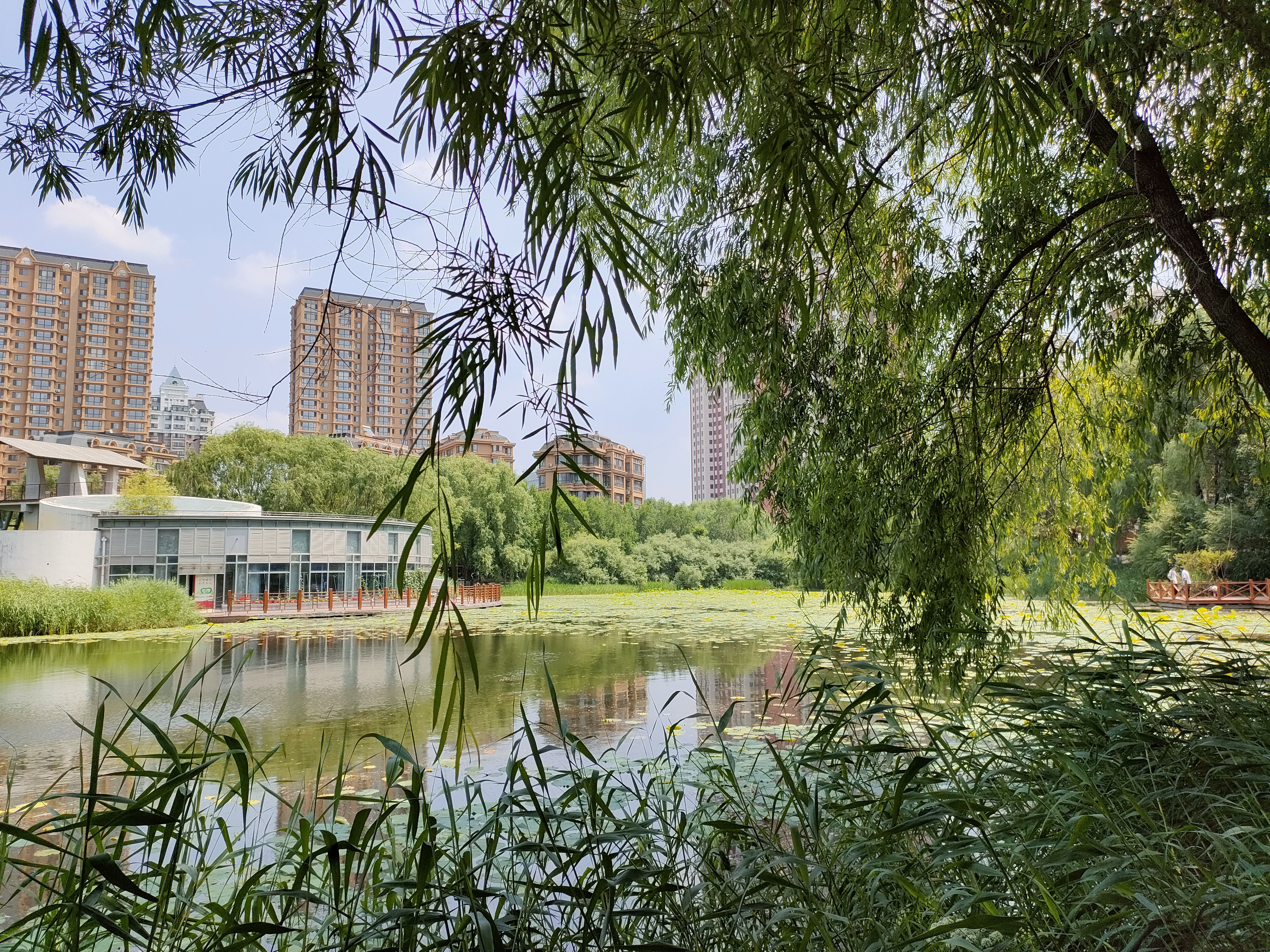 自驾游万绿湖景区门票,自驾游万绿湖旅游攻略大全