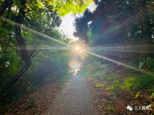 移民公司移民中介,移民中介和中移民的区别