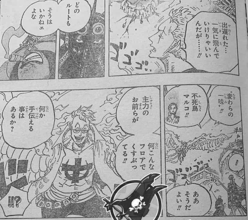 海贼王997：马尔科神助攻，破解奎因病毒，展示不死鸟真正能力