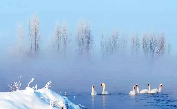 今日诗词原文及翻译,今日诗词原文及译文