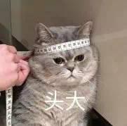 用钉钉一周：差评！用钉钉一个月：真香！用钉钉一年：升职加薪