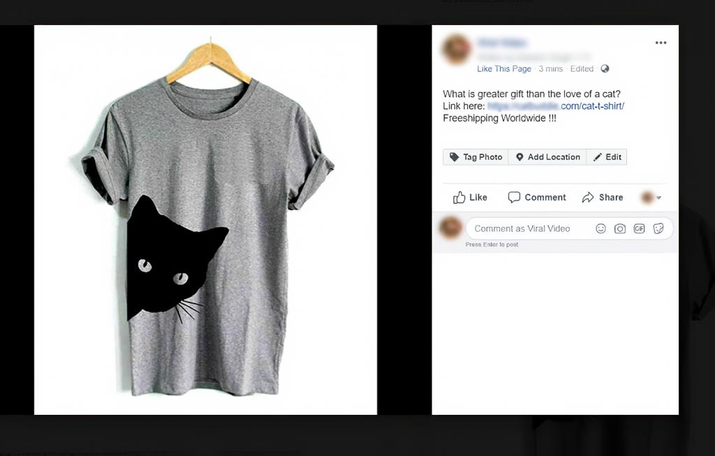 在Covid-19大流行期间，玛丽如何通过Dropshipping卖货126927美元