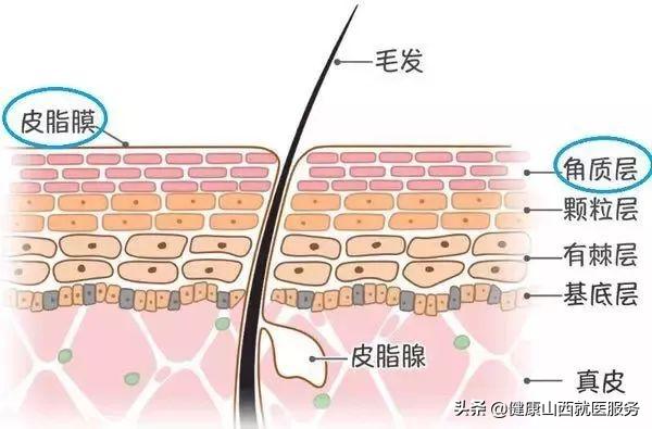 肌肤干燥敏感长痘怎么办,皮肤敏感泛红干燥怎么修复
