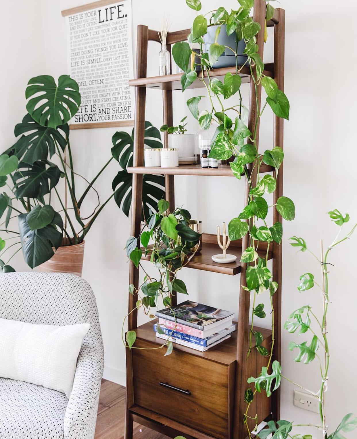 韩雪明星推荐好物,韩雪好物