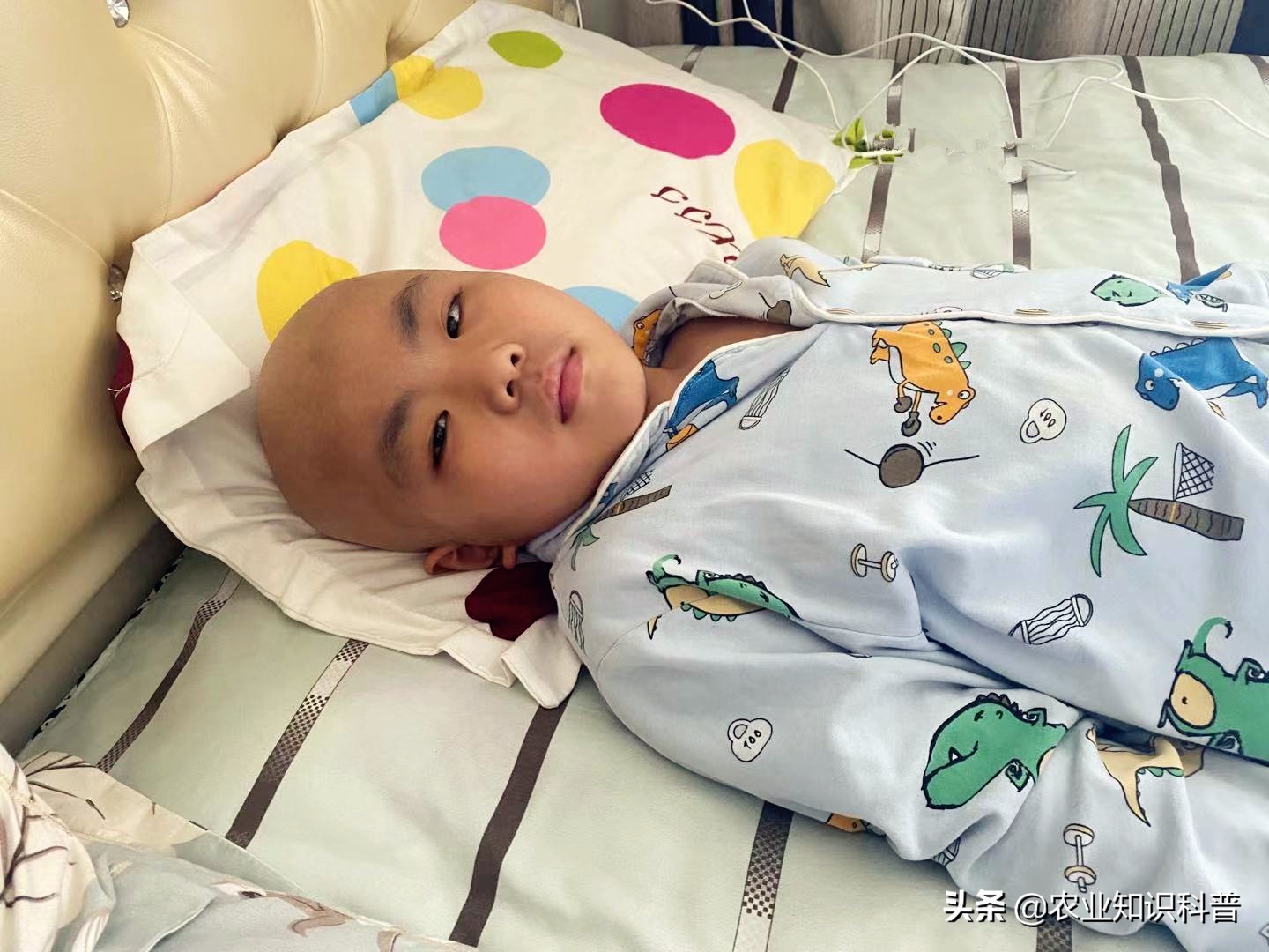 急性肝衰竭救过来的孩子,男子被确诊急性肝衰竭