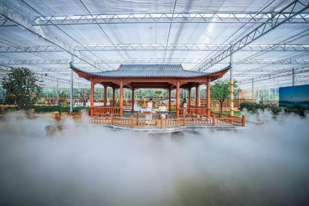 临沂周边田园综合体,临沂十大田园综合体