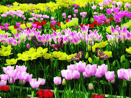 小朋友的社交能力如何提高,如何提高自己的社交能力和水平