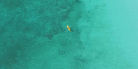 爱马仕新年,爱马仕旅行清单