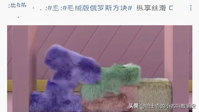 说猫咪是液体，我这回真的信了，简直就是毛绒版的俄罗斯方块