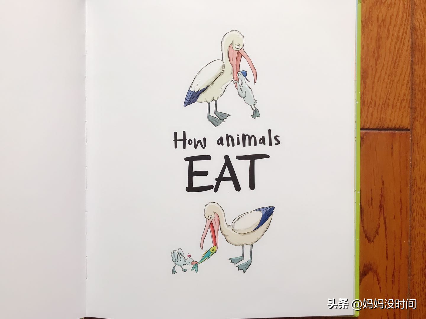 用绘本开启孩子哲学思维,如何通过看绘本提高孩子思维能力