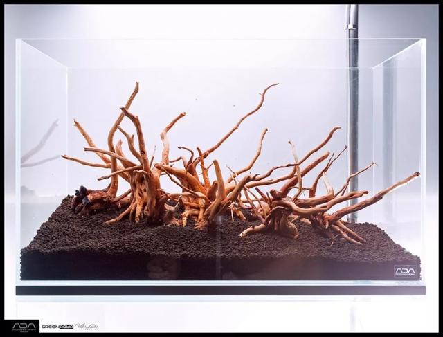 ada风格造景用什么底砂,鱼缸造景ada风格