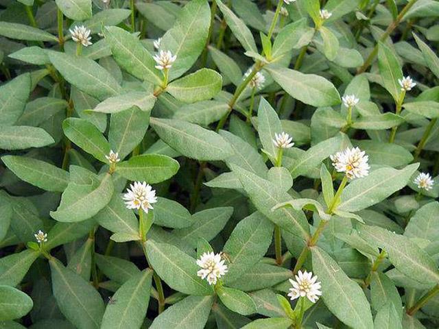 美发属于美妆还是时尚,美发的起源与历史