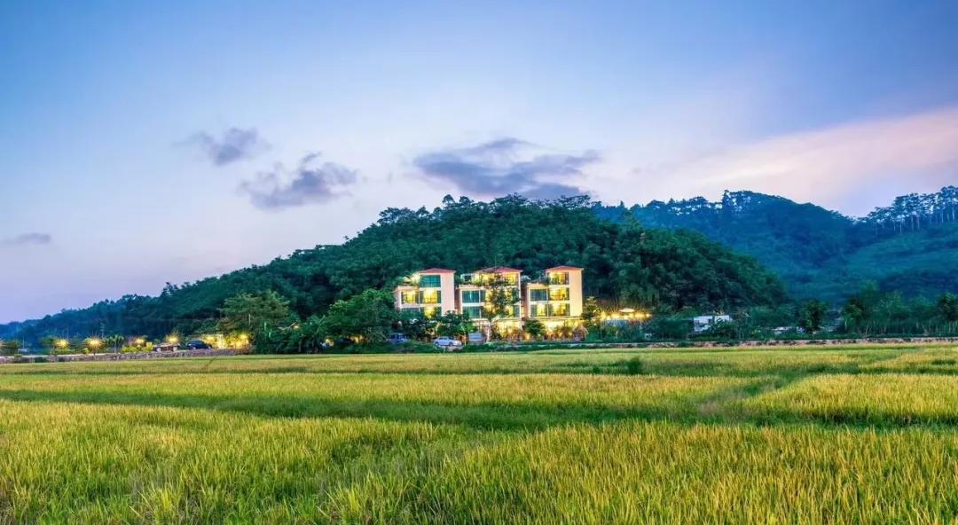 广州周边游增城民宿,广州增城旅游民宿推荐