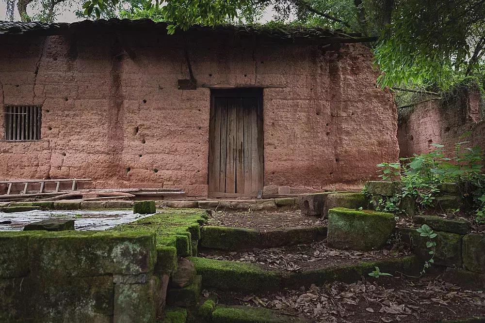 渝北枇杷正黄，冒冒失失穿越铁壁、胜保、斗碗三寨