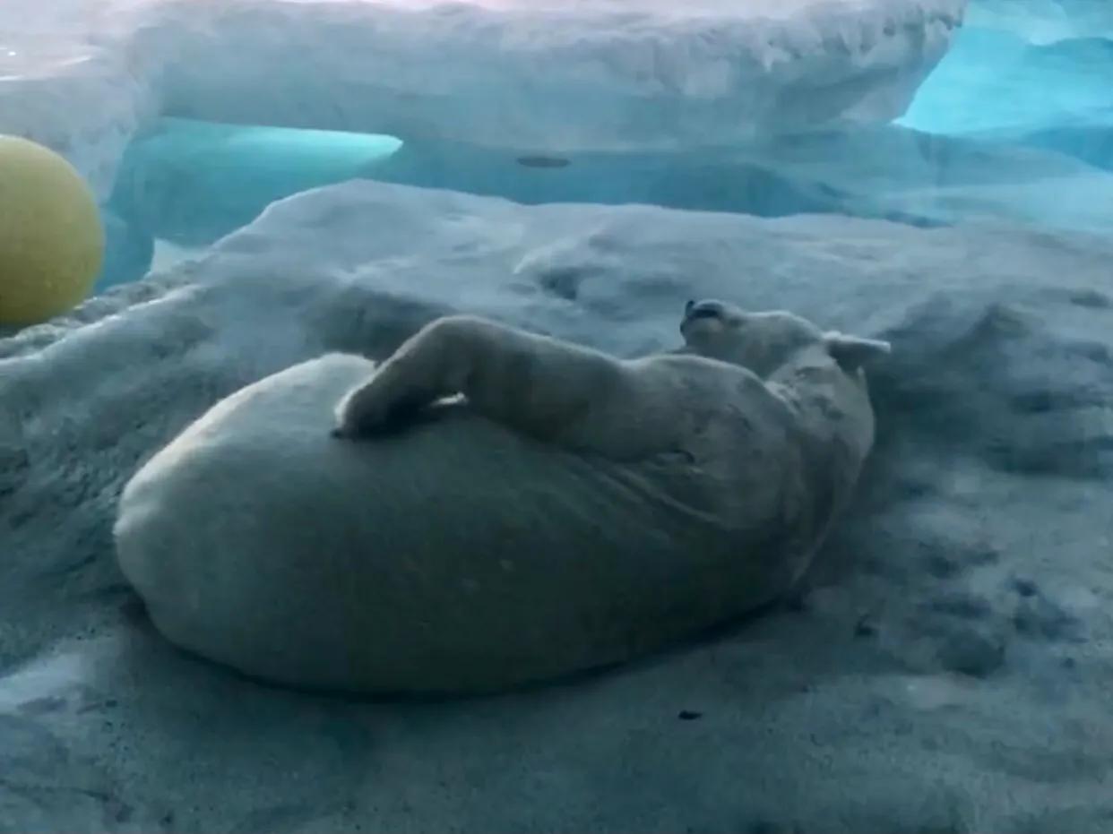 珠海长隆游玩攻略和时间,一月珠海长隆游玩攻略三天两晚