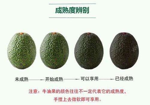 牛油果到底咋吃,营养师黑皮牛油果