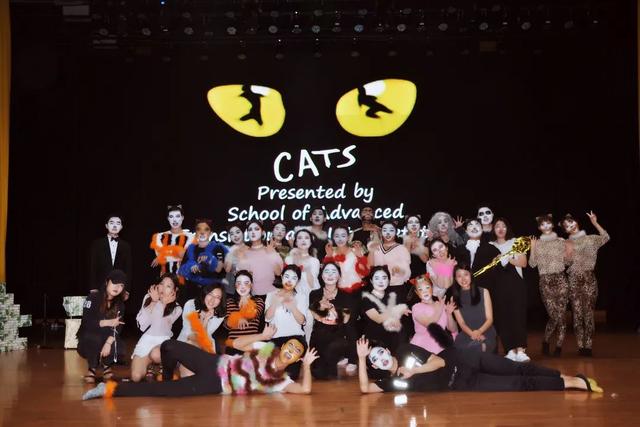 国际本科招生翻译专业,招生推广翻译