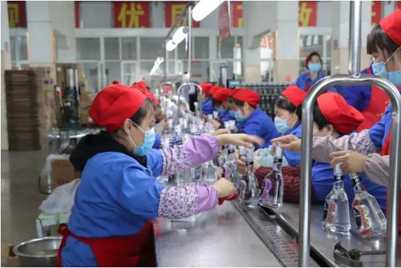 古贝春鲁品浓香型白酒42度,古贝春醉美鲁酒王53度