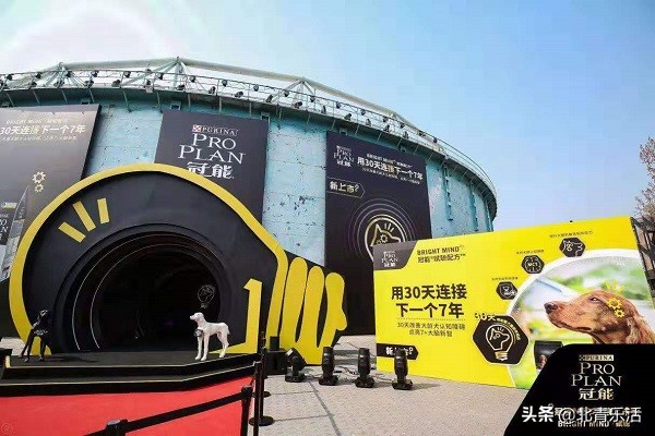 雀巢大秀狗粮“黑科技”，首款预防犬类老年痴呆产品进入中国