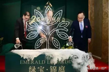 浦东新区2024年会场地项目,浦东即将开的新楼盘