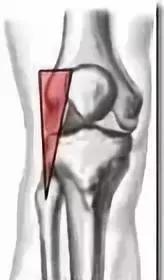 如何彻底根治膝盖病,膝盖最快的恢复法