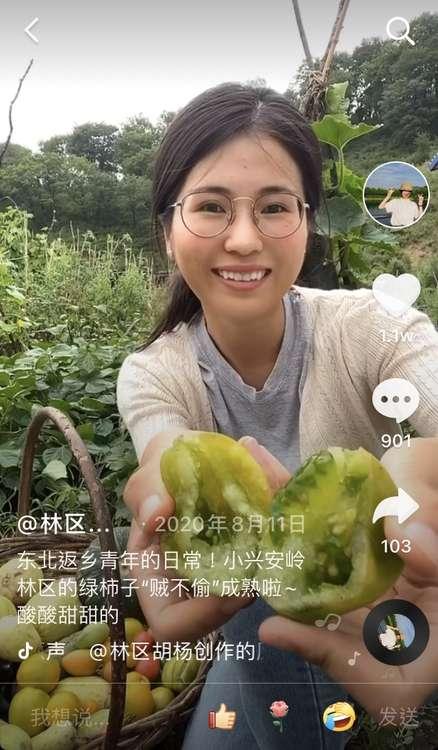 95后女孩毕业回乡采蘑菇月销10万元小森林里也有大宝藏