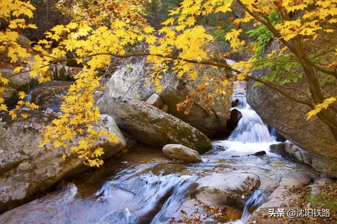 这份攻略带你走进最佳赏枫地,四大赏枫胜地你最想打卡哪个