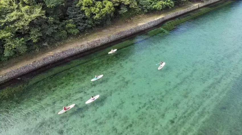 六年旅行者,国六旅行者