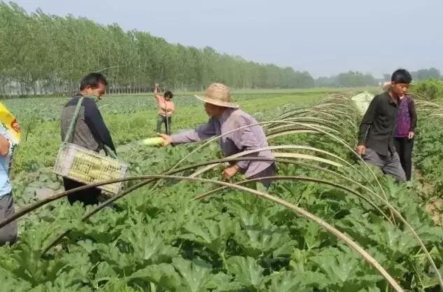 榆林家庭农场注册流程,网上注册家庭农场的全部流程