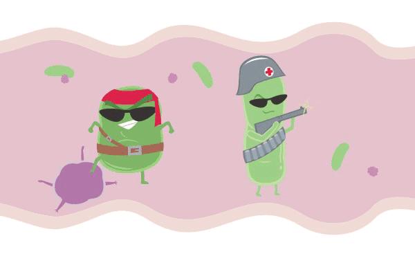 细菌跟人的相生相杀的故事