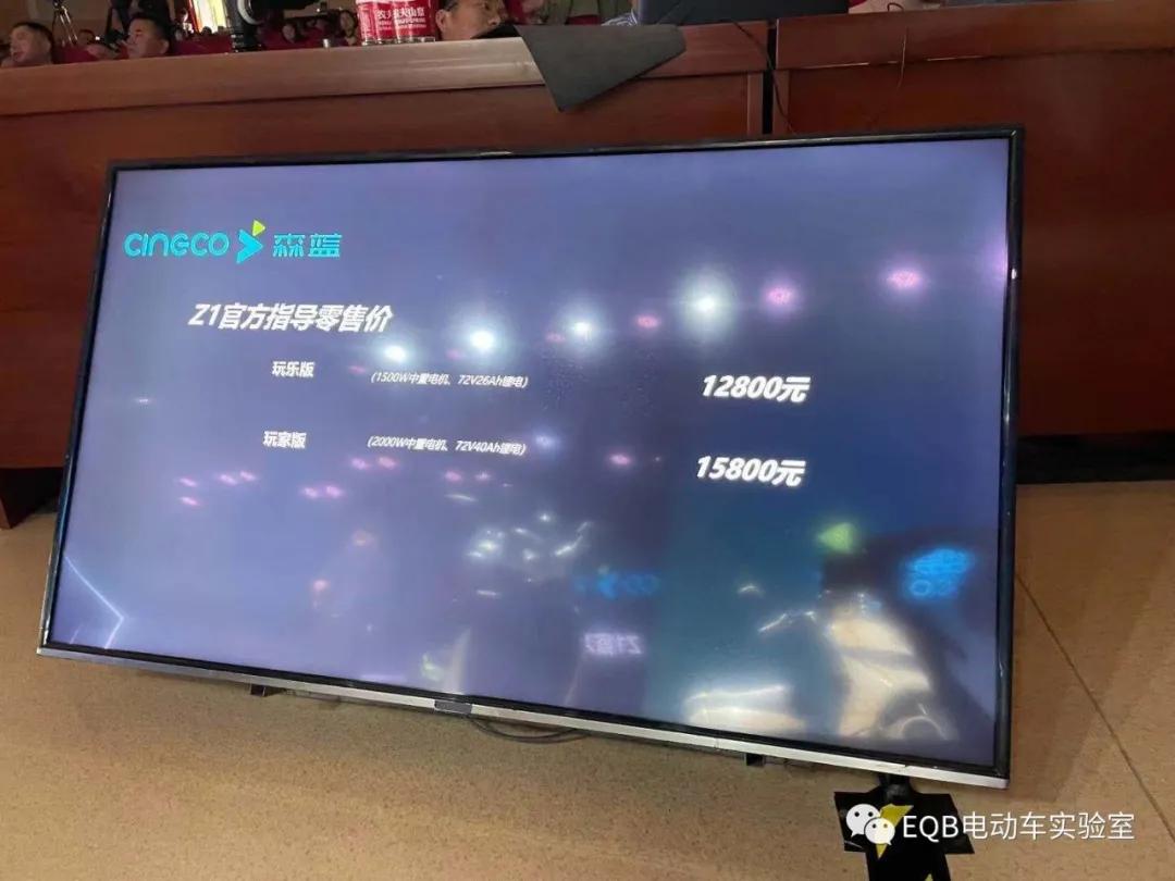 森蓝电动大踏板e-rt3,森蓝大踏板