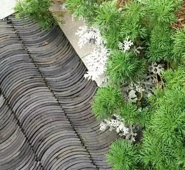 如何看懂新中式,新中式全套讲解