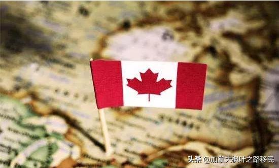 去加拿大陪读的妈妈需要什么条件,陪读移民