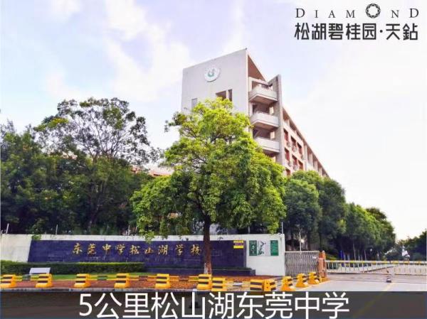 筑造1001|7公里到深圳，2.8公里地铁口，碧桂园天钻如何发光发亮