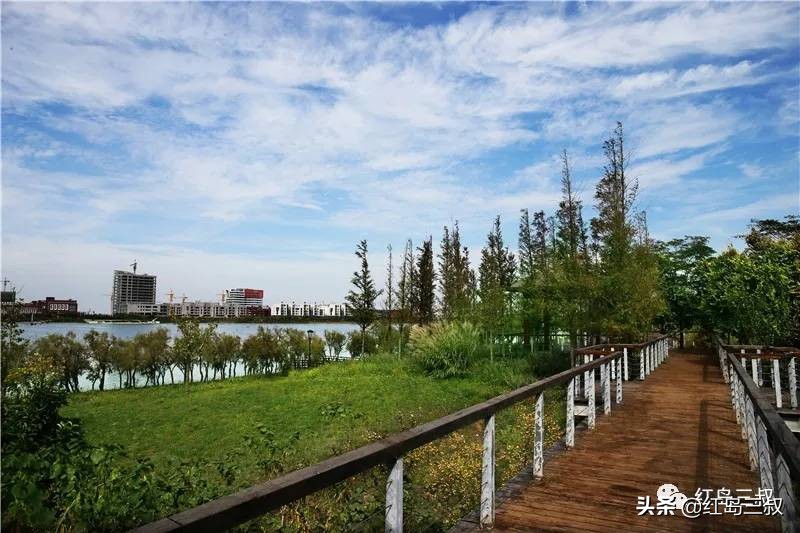 房价跌破万元,房价跌破净值