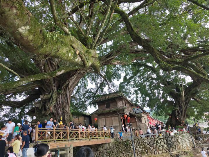 厦门攻略自由行3天云水谣,厦门自由行4晚5天花多少