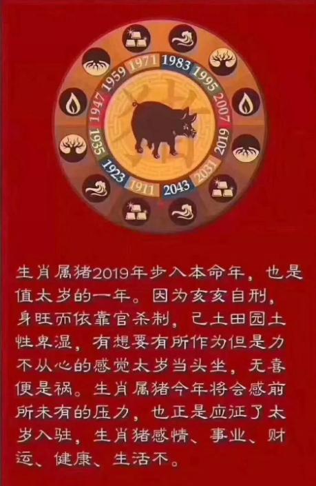 己亥年太岁化解方法,己亥年太岁如何化解