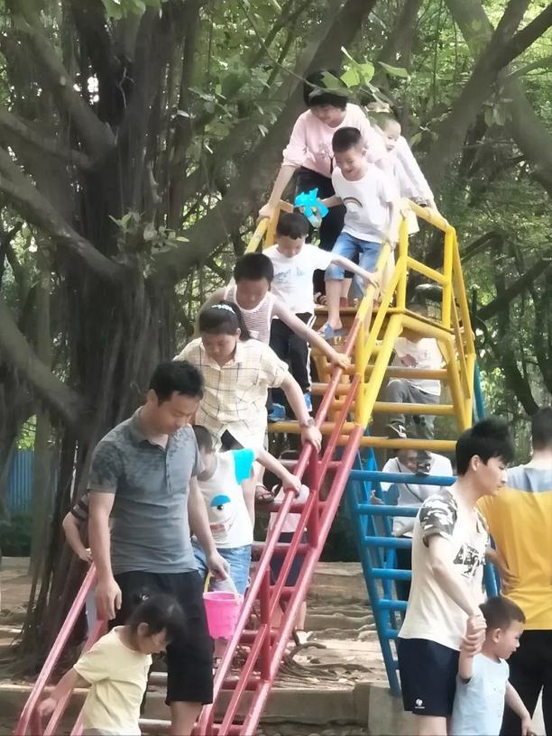 深圳海上田园一日游,深圳宝安海上田园风景