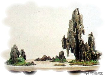 丛林式盆景欣赏,盆景欣赏及制作