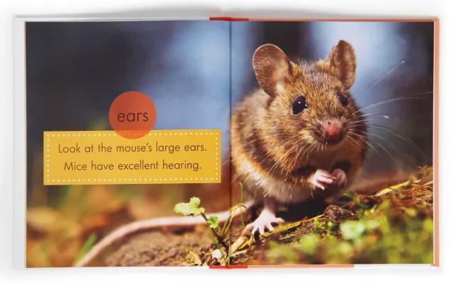 来聊聊总有一天要读的Non-fiction，怎么读，读什么...