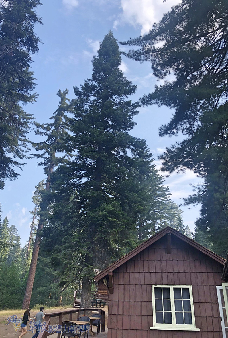阿尔山森林公园住宿攻略,红杉树酒店住宿