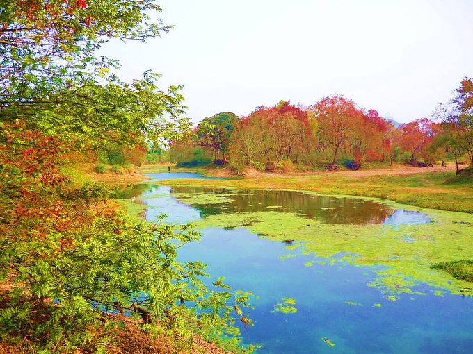 良心推荐|1月高性价比出行,附出行指南和必游景点