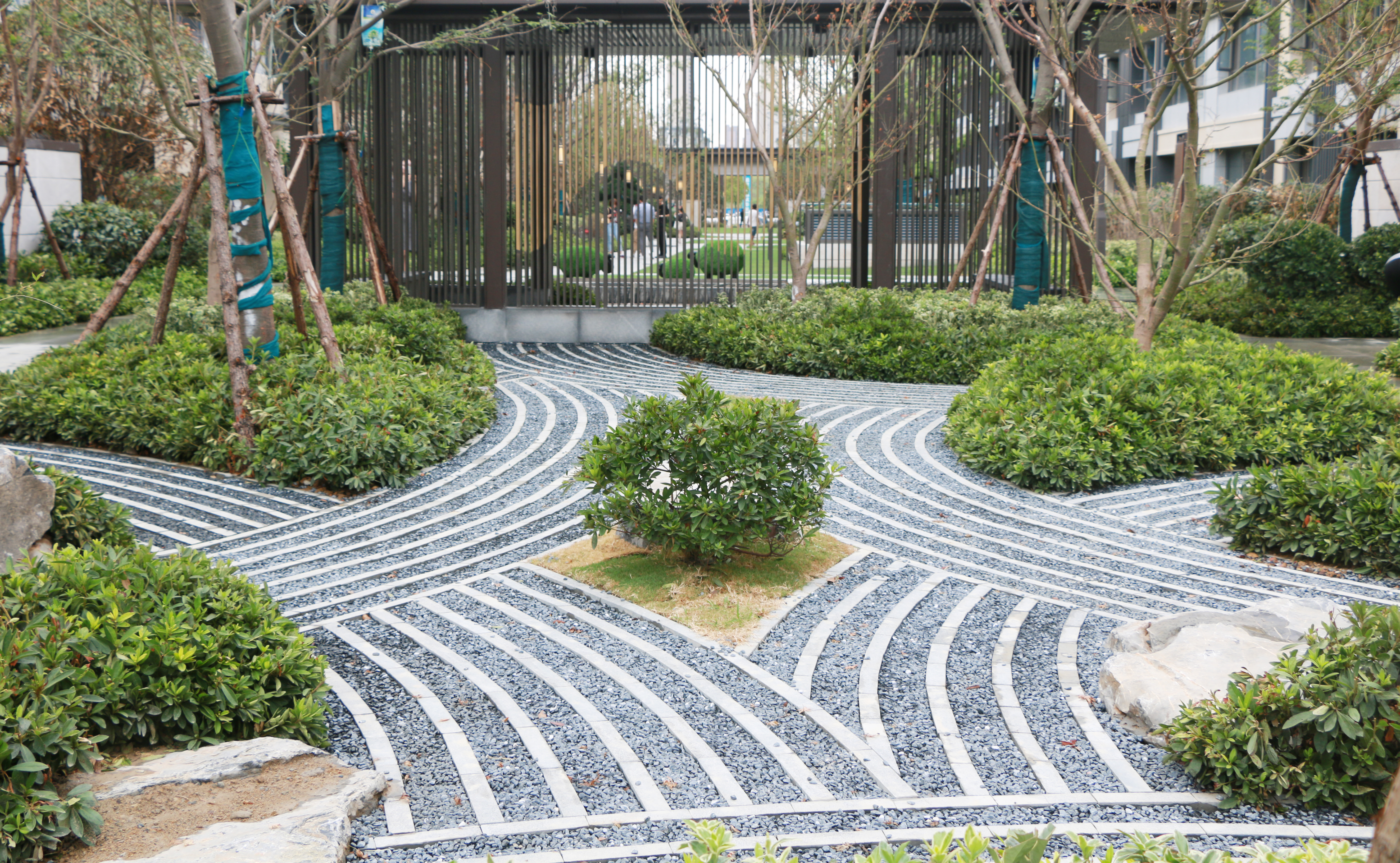 实探合肥碧桂园中堂,实探合肥