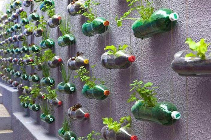 破旧塑料瓶一秒变精美花盆,废饮料瓶的妙用还可以做花盆吗