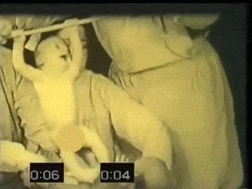 怎样催眠小猫咪,如何催眠一只小猫咪